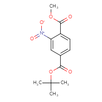 Chemical structure of 4-tert-butyl 1-methyl 2-nitrobenzene-1,4-dicarboxylate - CSSB20561579992