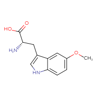 Chemical structure of (2S)-2-amino-3-(5-methoxy-1H-indol-3-yl)propanoic acid - CSSB00016989769