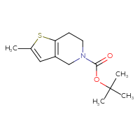 Chemical structure of tert-butyl 2-methyl-4H,5H,6H,7H-thieno[3,2-c]pyridine-5-carboxylate - CSSB00049721772