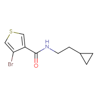 Chemical structure of 4-bromo-N-(2-cyclopropylethyl)thiophene-3-carboxamide - CSSB00016573862