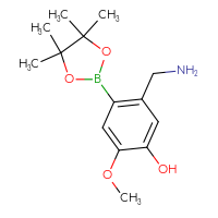 C14H22BNO4