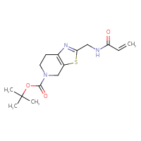 Chemical structure of tert-butyl 2-[(prop-2-enamido)methyl]-4H,5H,6H,7H-[1,3]thiazolo[5,4-c]pyridine-5-carboxylate - CSSB21332079706