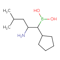 C11H24BNO2