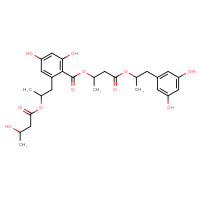 Chemical structure of 1-(3,5-dihydroxyphenyl)propan-2-yl 3-(2,4-dihydroxy-6-{2-[(3-hydroxybutanoyl)oxy]propyl}benzoyloxy)butanoate - CSSB06256047790