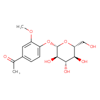 Chemical structure of 1-(3-methoxy-4-{[(2S,3R,4S,5S,6R)-3,4,5-trihydroxy-6-(hydroxymethyl)oxan-2-yl]oxy}phenyl)ethan-1-one - CSSB00102651808