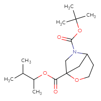 C17H29NO5