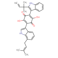 Chemical structure of 2,5-dihydroxy-3-[7-(3-methylbut-2-en-1-yl)-1H-indol-3-yl]-6-[2-(2-methylbut-3-en-2-yl)-1H-indol-3-yl]cyclohexa-2,5-diene-1,4-dione - CSSB00025761282