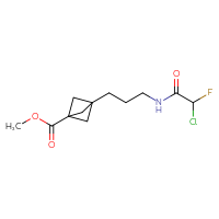 Chemical structure of methyl 3-[3-(2-chloro-2-fluoroacetamido)propyl]bicyclo[1.1.1]pentane-1-carboxylate - CSSB21332121668