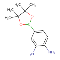 C12H19BN2O2