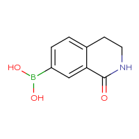 Chemical structure of (1-oxo-1,2,3,4-tetrahydroisoquinolin-7-yl)boronic acid - CSSB00009828694