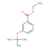 Chemical structure of ethyl 3-(tert-butoxy)benzoate - CSSB00010737801
