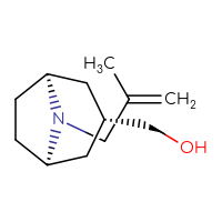 C12H21NO