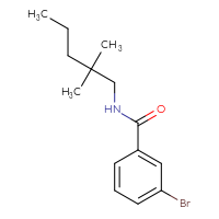 Chemical structure of 3-bromo-N-(2,2-dimethylpentyl)benzamide - CSSB01928013562