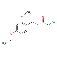Chemical structure of 2-chloro-N-[(4-ethoxy-2-methoxyphenyl)methyl]acetamide - CSSB21332097132