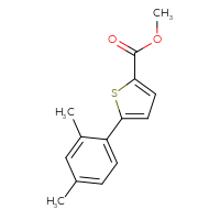 Chemical structure of methyl 5-(2,4-dimethylphenyl)thiophene-2-carboxylate - CSSB00133226779