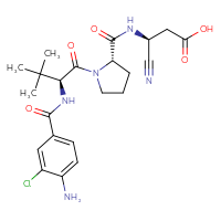 Chemical structure of (3S)-3-{[(2S)-1-[(2S)-2-[(4-amino-3-chlorophenyl)formamido]-3,3-dimethylbutanoyl]pyrrolidin-2-yl]formamido}-3-cyanopropanoic acid - CSSB00161189060