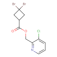 C11H10Br2ClNO2
