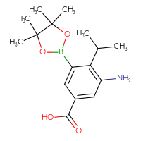 C16H24BNO4