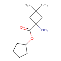C12H21NO2