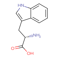Chemical structure of (2S)-2-amino-3-(1H-indol-3-yl)propanoic acid - CSSB00011417517