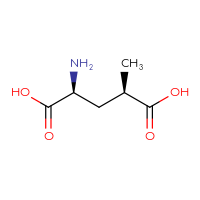 C6H11NO4