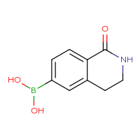 Chemical structure of (1-oxo-1,2,3,4-tetrahydroisoquinolin-6-yl)boronic acid - CSSB00000101237