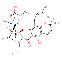 Chemical structure of (2Z)-4-[(1S,2S,15R,16R,17S,19R)-12-hydroxy-16-methoxy-8,8,21,21-tetramethyl-5-(3-methylbut-2-en-1-yl)-14,18-dioxo-3,7,20-trioxahexacyclo[15.4.1.0²,¹⁵.0²,¹⁹.0⁴,¹³.0⁶,¹¹]docosa-4,6(11),9,12-tetraen-19-yl]-2-methylbut-2-enoic acid - CSSB20621798452