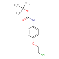 Chemical structure of tert-butyl N-[4-(2-chloroethoxy)phenyl]carbamate - CSSB00137415369