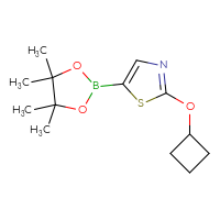 Chemical structure of 2-cyclobutoxy-5-(4,4,5,5-tetramethyl-1,3,2-dioxaborolan-2-yl)-1,3-thiazole - CSSB00010255420