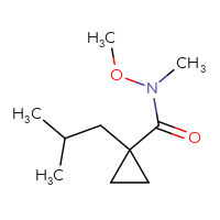 C10H19NO2