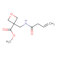 C10H15NO4