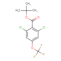 Chemical structure of tert-butyl 2,6-dichloro-4-(trifluoromethoxy)benzoate - CSSB06835378577