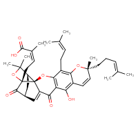 Chemical structure of (2Z)-4-[(1S,2S,8R,17S,19R)-12-hydroxy-8,21,21-trimethyl-5-(3-methylbut-2-en-1-yl)-8-(4-methylpent-3-en-1-yl)-14,18-dioxo-3,7,20-trioxahexacyclo[15.4.1.0²,¹⁵.0²,¹⁹.0⁴,¹³.0⁶,¹¹]docosa-4(13),5,9,11,15-pentaen-19-yl]-2-methylbut-2-enoic acid - CSSB00016992624