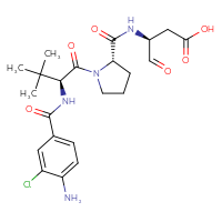 Chemical structure of (3S)-3-{[(2S)-1-[(2S)-2-[(4-amino-3-chlorophenyl)formamido]-3,3-dimethylbutanoyl]pyrrolidin-2-yl]formamido}-4-oxobutanoic acid - CSSB03549783651
