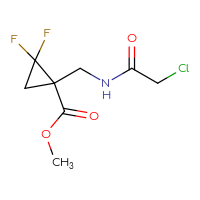 Chemical structure of methyl 1-[(2-chloroacetamido)methyl]-2,2-difluorocyclopropane-1-carboxylate - CSSB02492912863