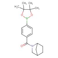 Chemical structure of 2-[4-(4,4,5,5-tetramethyl-1,3,2-dioxaborolan-2-yl)benzoyl]-2-azabicyclo[2.2.1]heptane - CSSB02526922267
