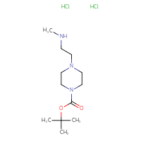 Chemical structure of tert-butyl 4-[2-(methylamino)ethyl]piperazine-1-carboxylate dihydrochloride - CSSB00102564692