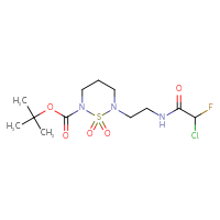 Chemical structure of tert-butyl 6-[2-(2-chloro-2-fluoroacetamido)ethyl]-1,1-dioxo-1λ⁶,2,6-thiadiazinane-2-carboxylate - CSSB21332121176