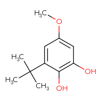 Chemical structure of 3-tert-butyl-5-methoxybenzene-1,2-diol - CSSB00000074989