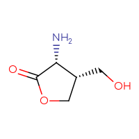 C5H9NO3