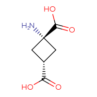 C6H9NO4