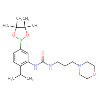 Chemical structure of 1-[3-(morpholin-4-yl)propyl]-3-[2-(propan-2-yl)-5-(4,4,5,5-tetramethyl-1,3,2-dioxaborolan-2-yl)phenyl]urea - CSSB21332130166