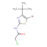 Chemical structure of N-(5-bromo-4-tert-butyl-1,3-thiazol-2-yl)-2-chloroacetamide - CSSB00010003088