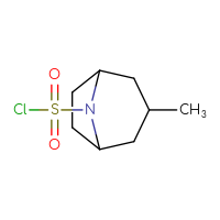 Chemical structure of 3-methyl-8-azabicyclo[3.2.1]octane-8-sulfonyl chloride - CSSB00023945552