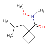 Chemical structure of N-methoxy-N-methyl-1-(2-methylpropyl)cyclobutane-1-carboxamide - CSSB01991253003
