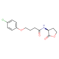 Chemical structure of 4-(4-chlorophenoxy)-N-[(3S)-2-oxooxolan-3-yl]butanamide - CSSB00104345582