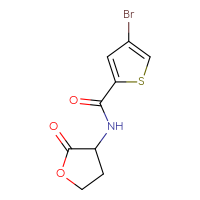 Chemical structure of 4-bromo-N-(2-oxooxolan-3-yl)thiophene-2-carboxamide - CSSB06392938065