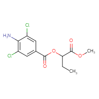 C12H13Cl2NO4