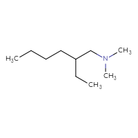 C10H23N