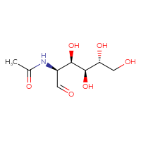 Chemical structure of N-[(2S,3R,4S,5R)-3,4,5,6-tetrahydroxy-1-oxohexan-2-yl]acetamide - CSSB00016300266